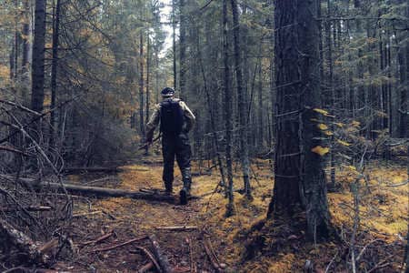 Купить диплом Егеря, лесника в Орехово-Зуево